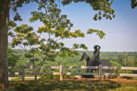 Riverside Park Overlook