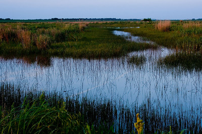 McPherson Valley Wetlands